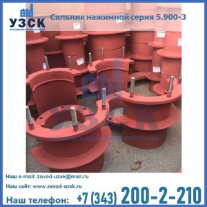 Сальники нажимные серия 5.900-3 в Балаково
